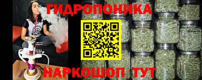 ешки Сланцы