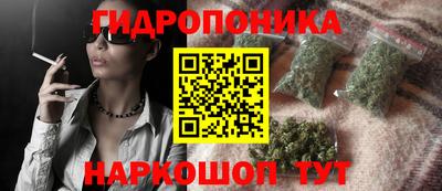 ешки Сланцы
